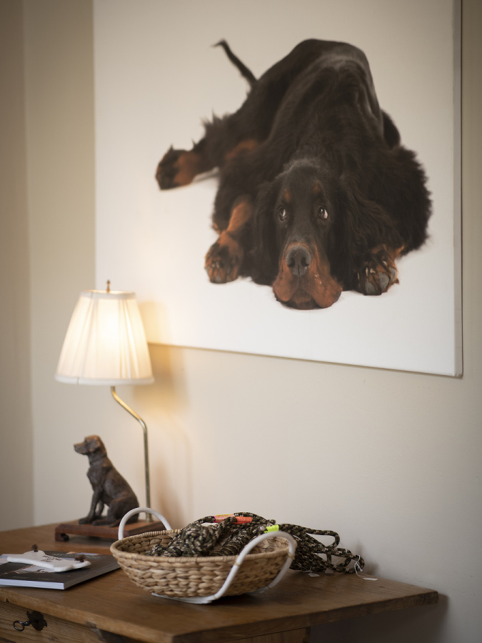 Tisch im Hundesalon mit Bild von Gordon