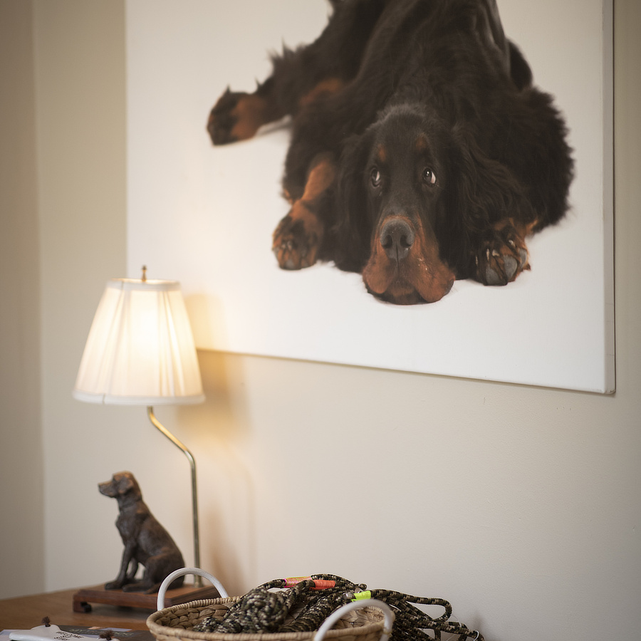 Tisch im Hundesalon mit Bild von Gordon